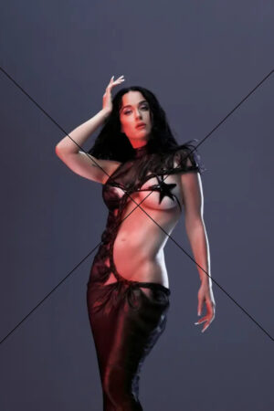 Katy Perry in Sheer Star-Cut Dress – Provocative High Fashion Pose Print 6"x4"