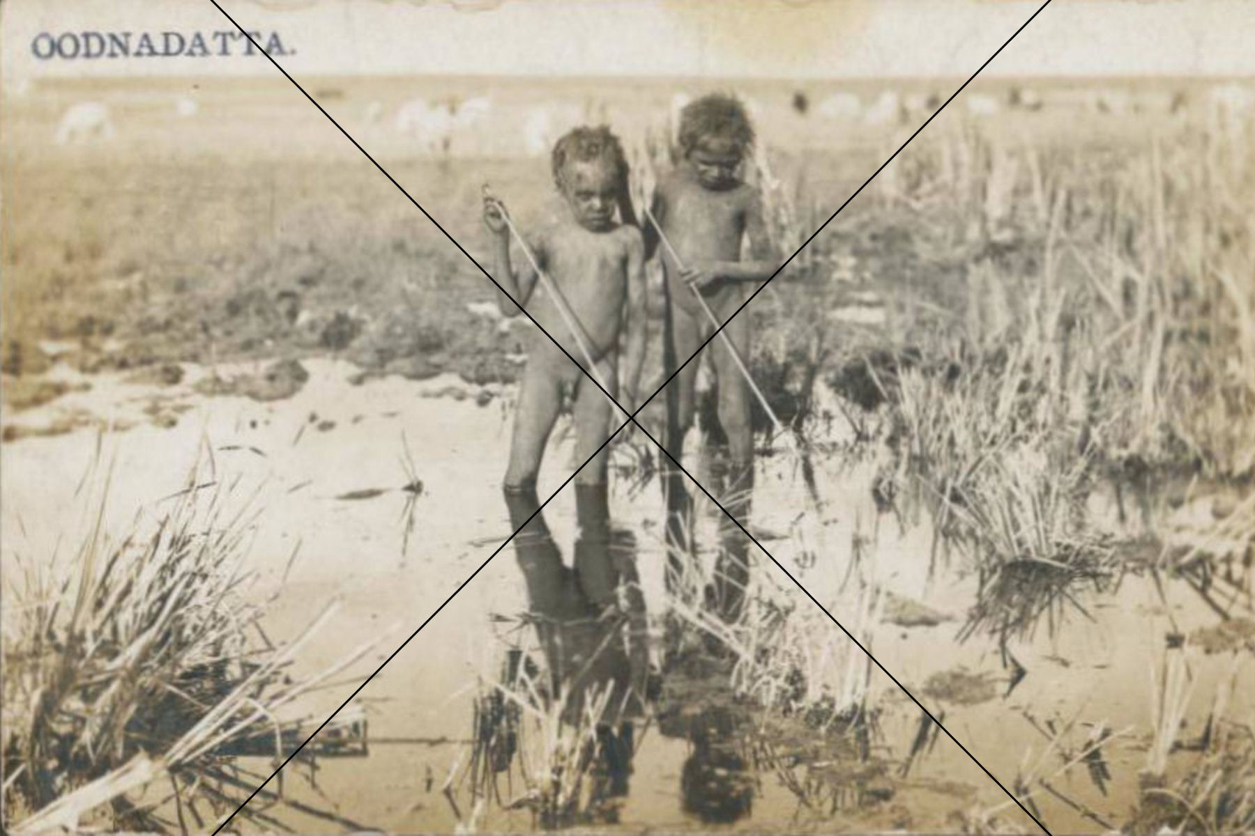 Aboriginal Children Spear Fishing – Oodnadatta, South Australia Print 6"x4"