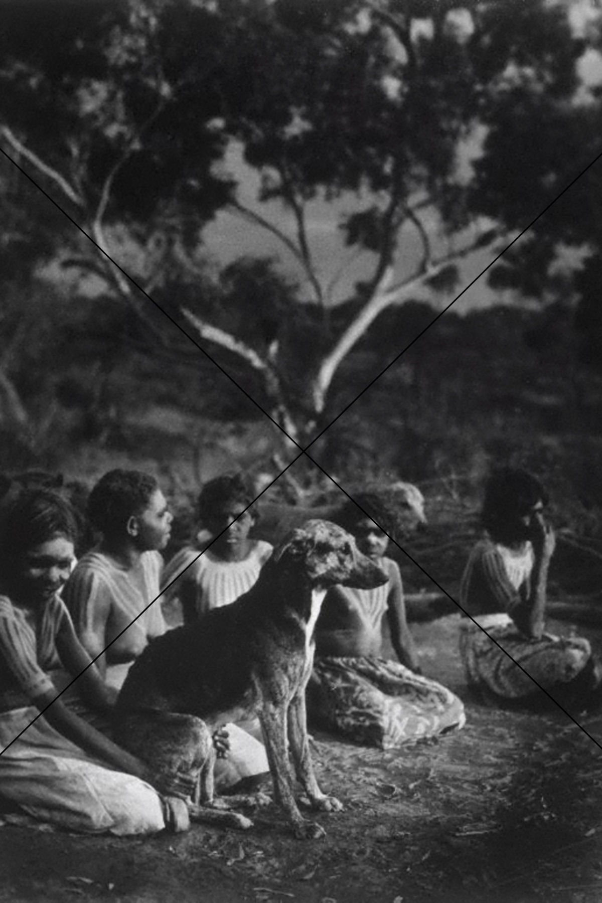Aboriginal Girls and Dog, Connection to Land and Companionship Photo Print 6"x4"