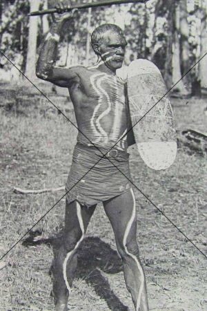 Warrior’s Stance – Bundjalung Man, NSW, 1890 Photo Print 6"x4"
