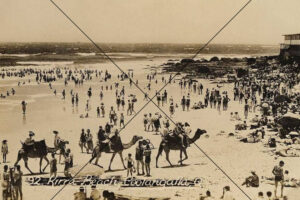 Crowds at Kirra Beach – Camel Rides and Summer Fun Photo Print 6"x4"
