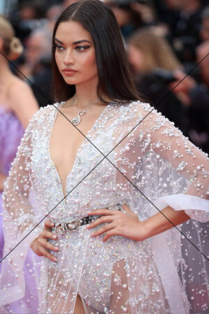 Shanina Shaik in Pearl Gown – 6"x4" Red Carpet Photo Print