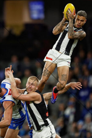 Bobby Hill clunks mark of the year contender