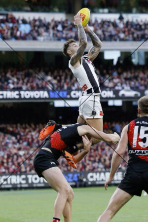 Jamie Elliott celebrates match-turning goal
