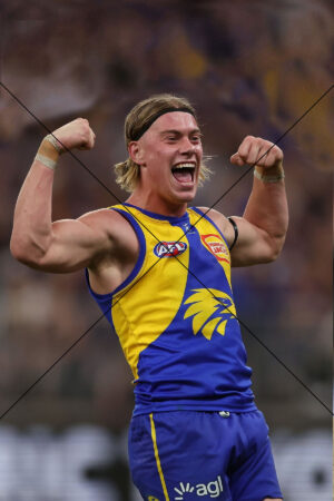 Harley Reid Celebrates With Passion Photo Print 6" x 4"