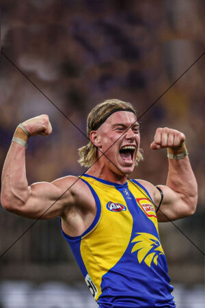 Pumped Up Harley Reid Roars Photo Print 6" x 4"