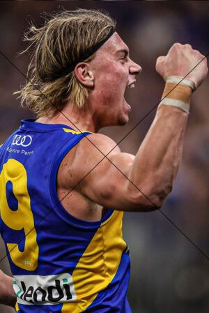 Harley Reid AFL Number 9 Victory Yell Photo Print 6" x 4"