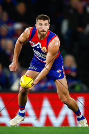 Focused Marcus Bontempelli Prepares to Handball Photo Print 6" x 4"