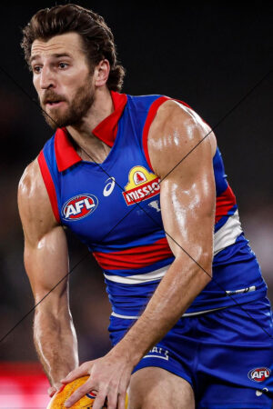 Marcus Bontempelli AFL Powerhouse Midgame Photo Print 6" x 4"