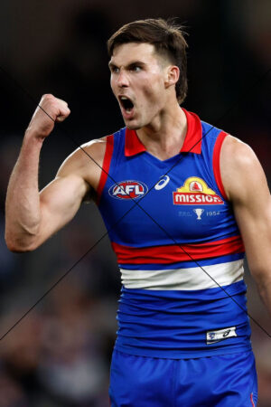 Sam Darcy Lets Out A Roar Photo Print 6" x 4"