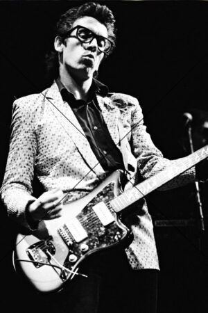 Elvis Costello Performing Live With Guitar Photo Print 6" x 4"