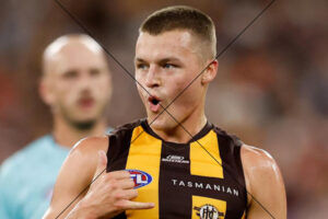 Jack Ginnivan Hawthorn Celebration AFL Photo Print 6" x 4"