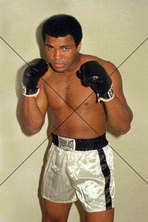 Muhammad Ali Ready To Fight Photo Print 6" x 4"
