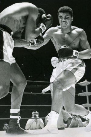 Muhammad Ali Battles Ernie Terrell 1967 Photo Print 6" x 4"