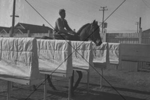 Barrier At Newcastle Racecourse 1954 Photo Print 6" x 4"