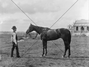 Blarneystone Champion Racehorse Vintage Photo Print 6" x 4"