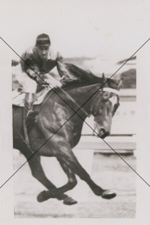 Bernborough Tragedy At Flemington Racecourse Photo Print 6" x 4"