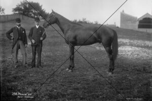 Racehorse Realm in 1893 at Sydney Cup Event Photo Print 6" x 4"
