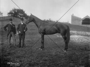 Realm Winning AJC Autumn Stakes and Sydney Cup 1893 Photo Print 6" x 4"