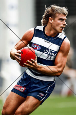 Bailey Smith Geelong Player Action Photo Print 6" x 4"