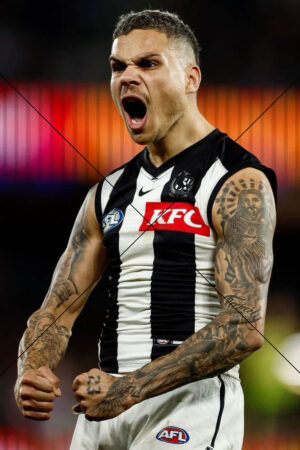 Bobby Hill Collingwood Player Celebration Photo Print 6" x 4"