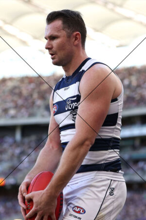 Patrick Dangerfield Geelong Captain Photo Print 6" x 4"