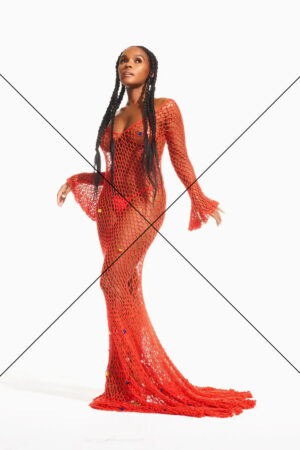 Janelle Monae In Stunning Red Fishnet Dress Photo Print 6" x 4"