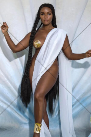 Janelle Monae In Greek Goddess Look Photo Print 6" x 4"