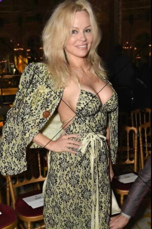 Pamela Anderson in Stylish Low Cut Dress Photo Print 6" x 4"