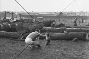 Parramatta Gaol Prisoner with Dog Photo Print 6" x 4"