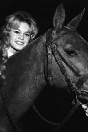 Brigitte Bardot Close-Up with Horse 6" x 4" Photo Print