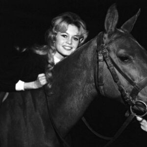 Brigitte Bardot on Horseback Smiling 6" x 6" Photo Print