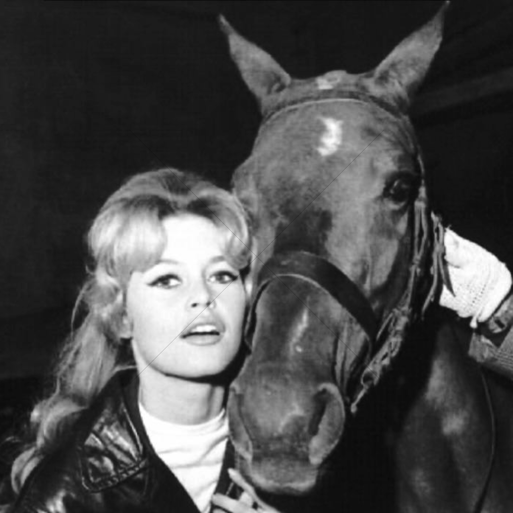 Brigitte Bardot Beside Horse in Leather Jacket 6" x 6" Photo Print