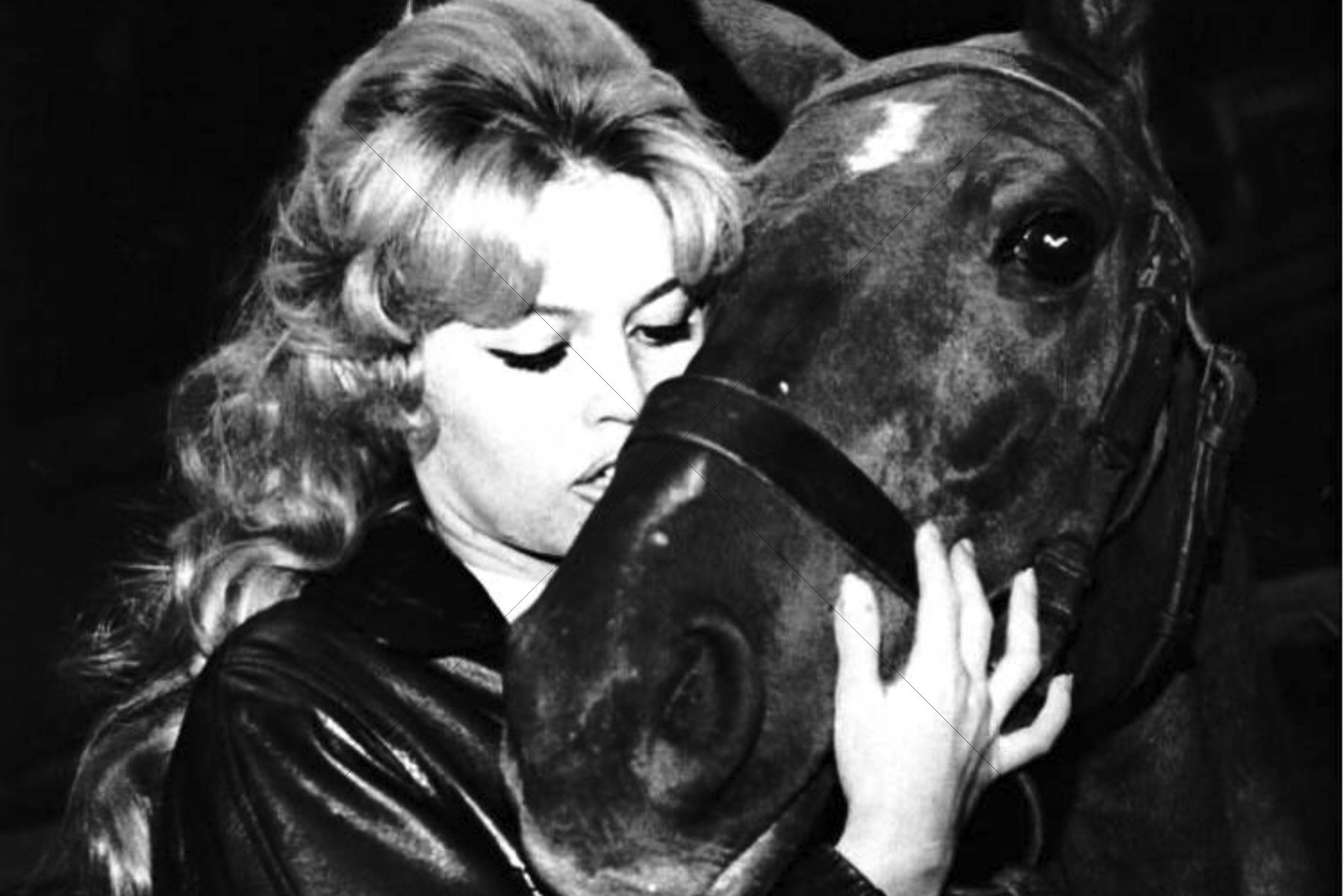 Brigitte Bardot Kissing Horse’s Face 6" x 4" Photo Print