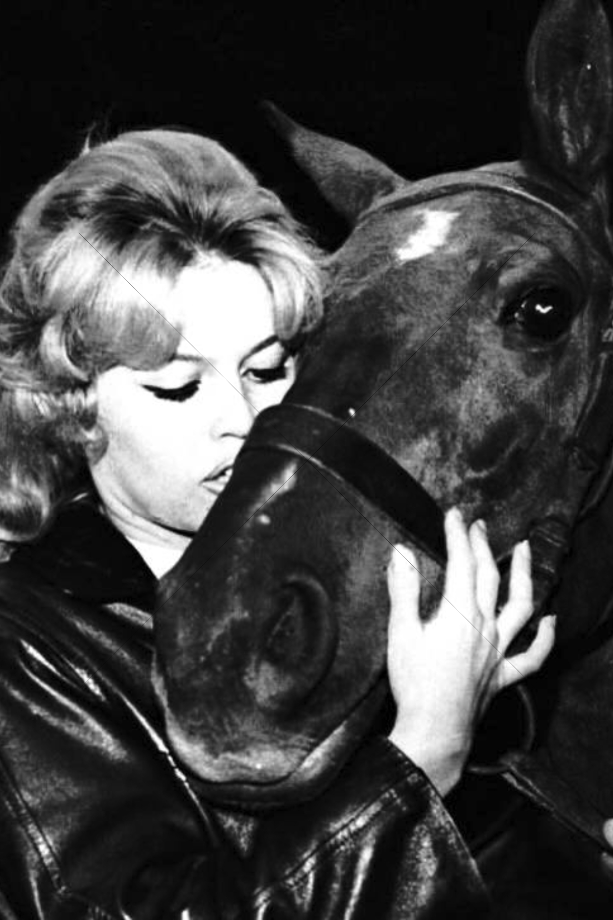 Brigitte Bardot Holding Horse’s Muzzle 6" x 4" Photo Print