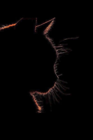 Cat Silhouette Art Photo Print 6" x 4"