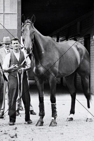 Phar Lap with Tommy Woodcock Outside Stables Photo Print 6" x 4"
