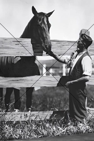 Phar Lap Behind Fence with Trainer Tommy Woodcock Photo Print 6" x 4"