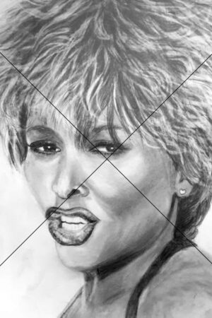 Tina Turner Expressive Art Portrait Sketch Photo Print 6" x 4"