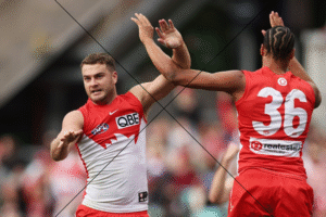 Tom Papley Celebrating with Teammates AFL Photo Print 6" x 4"