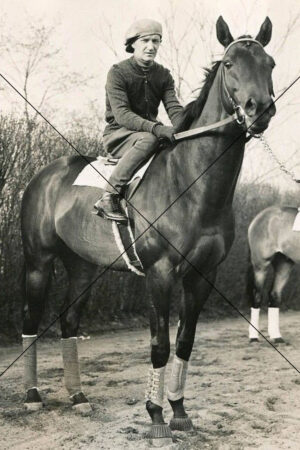 War Admiral 1930s Champion Racehorse Photo Print 6" x 4"