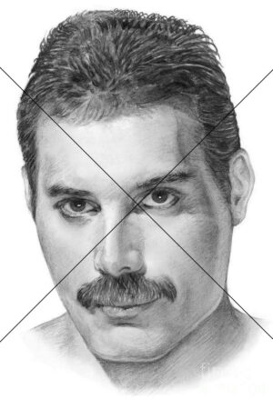 Freddie Mercury Pencil Sketch Portrait Photo Print 6" x 4"