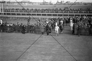 Horses and Jockeys Return To Scale After Race Melbourne Cup 1936 Photo Print 6" x 4"