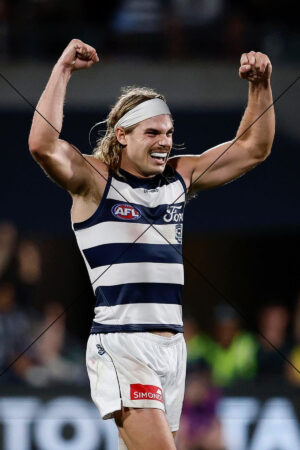 Bailey Smith Geelong Victory Celebration Photo Print 6" x 4"