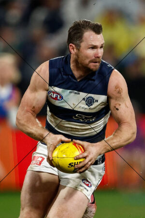 Patrick Dangerfield Geelong Captain in Action Photo Print 6" x 4"