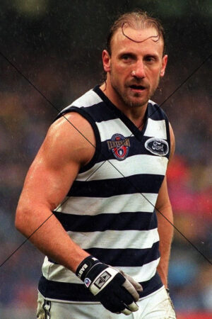Gary Ablett Snr Intense Portrait Geelong Cats Photo Print 6" x 4"