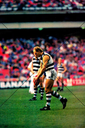 Gary Ablett Snr Kicking at the MCG Geelong Photo Print 6" x 4"