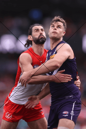 Sean Darcy & Brody Grundy AFL Ruck Duel Action Shot Photo Print 6" x 4"