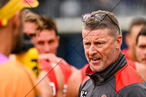 Damien Hardwick Coaches Gold Coast Suns AFL Photo Print 6" x 4"