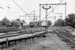 Up Harris Train at Essendon Station Circa 1960 Print 6" x 4"